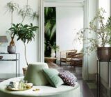 Combinations of winning colors in the decoration