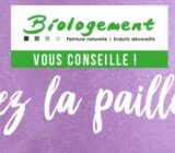 Effect Paint Paillette: 5 Tips to apply the Coating or Paillet painting