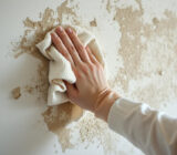 Mill on a wall: how to get rid of it? | Identifies the causes of wall molds